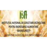 IBA București